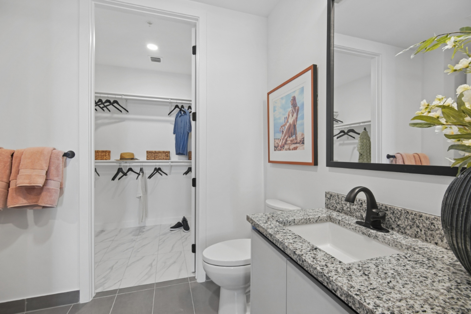 Bathroom and Closet